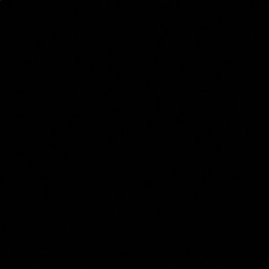 Meet your Posher, Tami